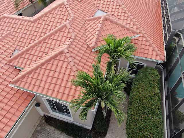 Aerial view of a terracotta clay tile roof on a Florida home with a palm tree